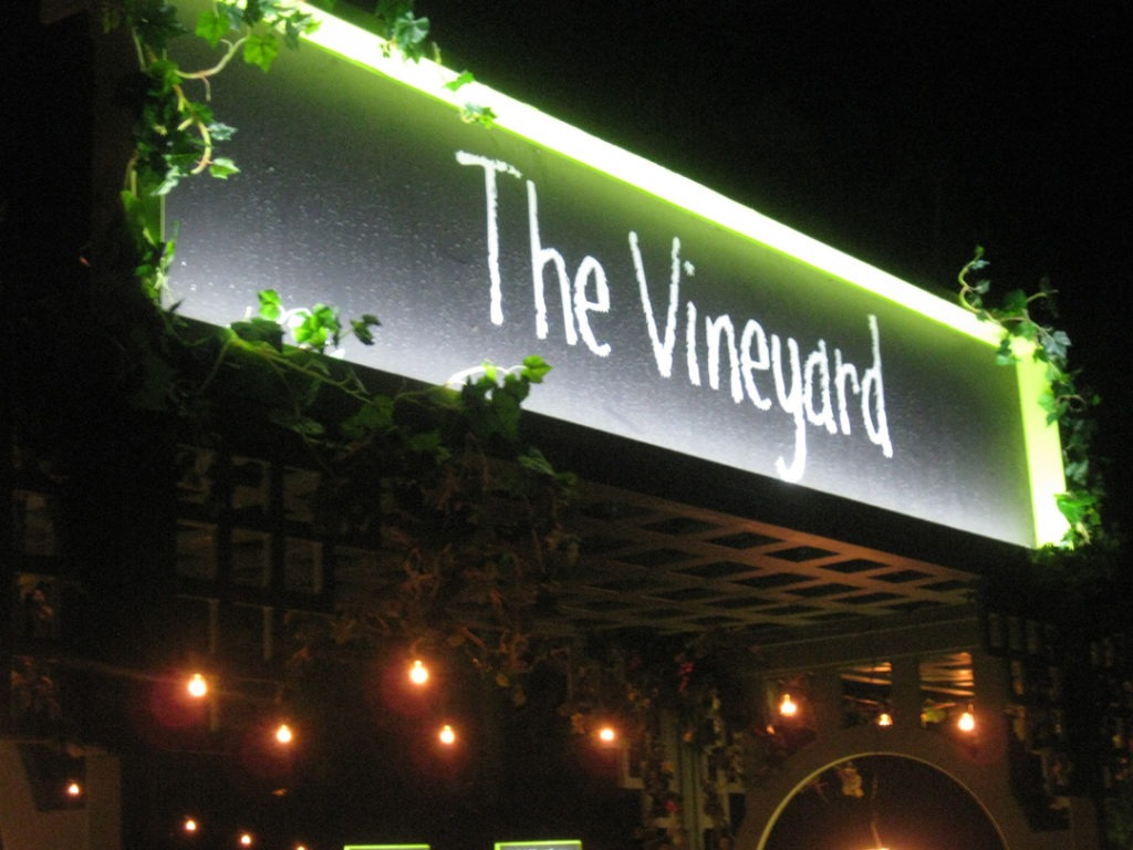 3.6-vineyard at night 2