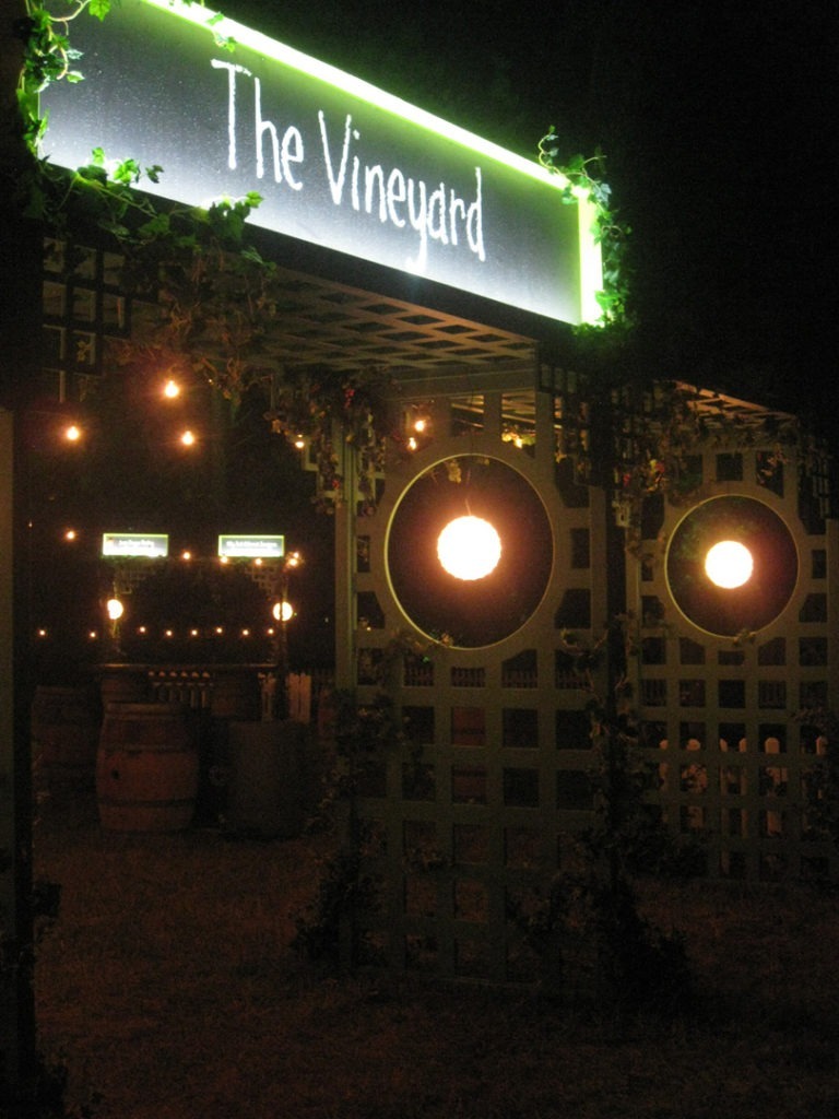 3.6-vineyard at night 4