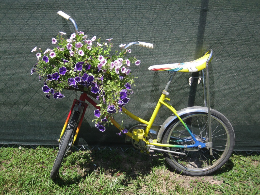 bicycle garden 3-300