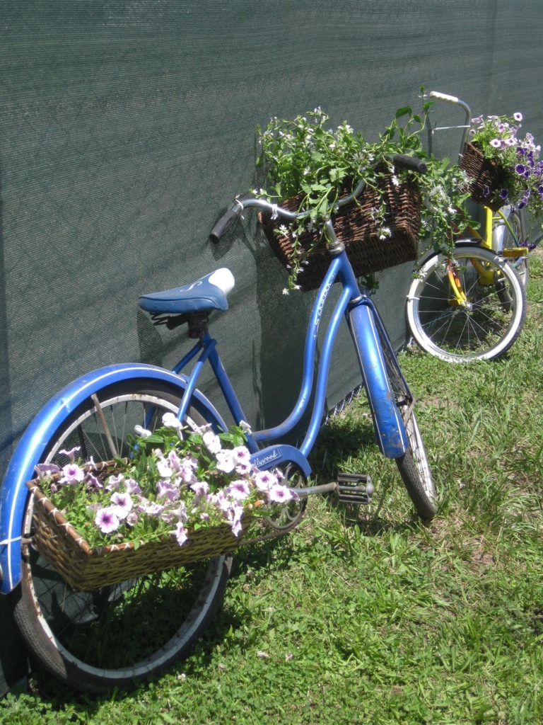 bicycle garden 5-300